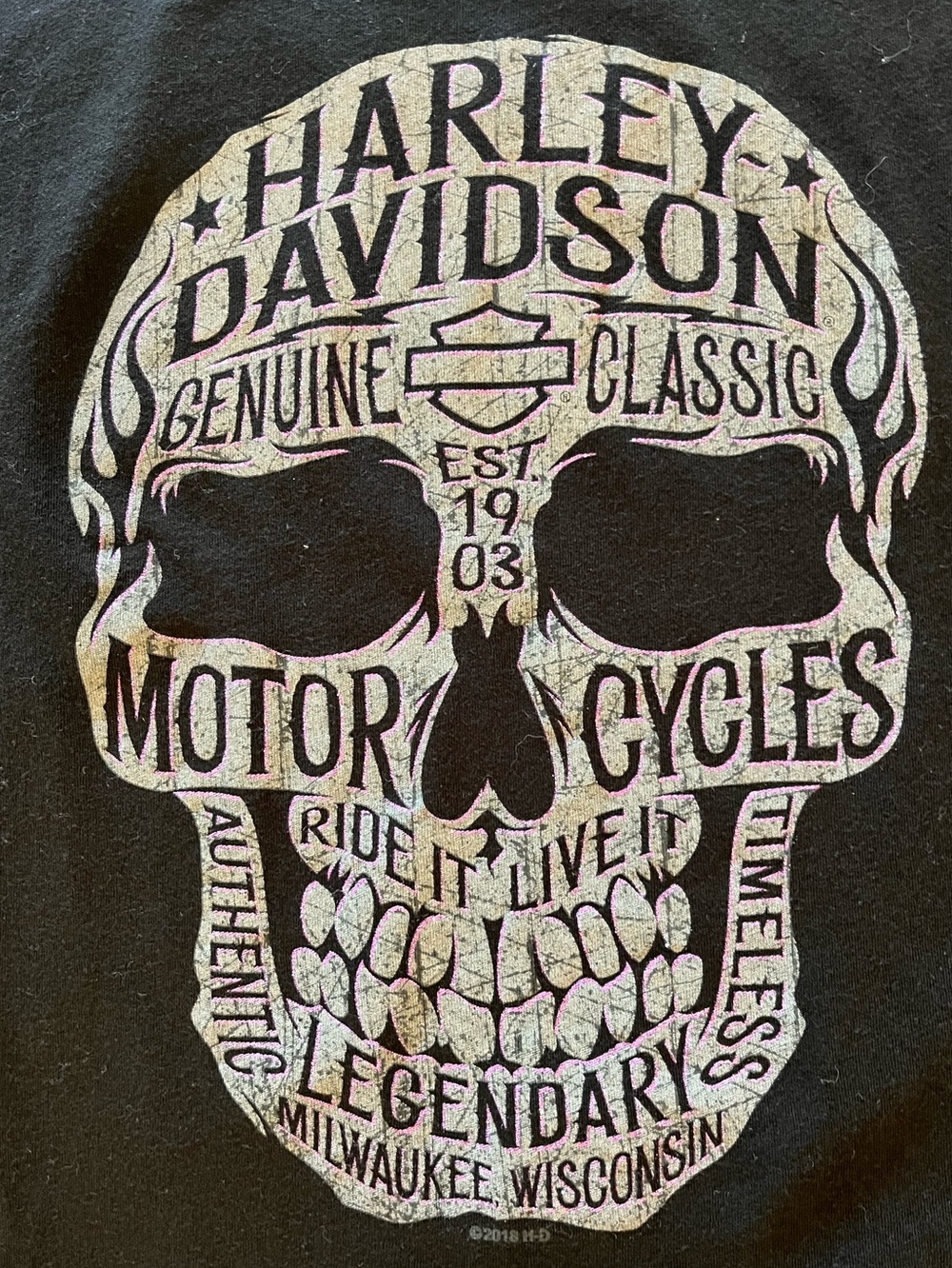 Harley-Davidson Black Tee with Gray Skull and Sparkly Purple Highlights